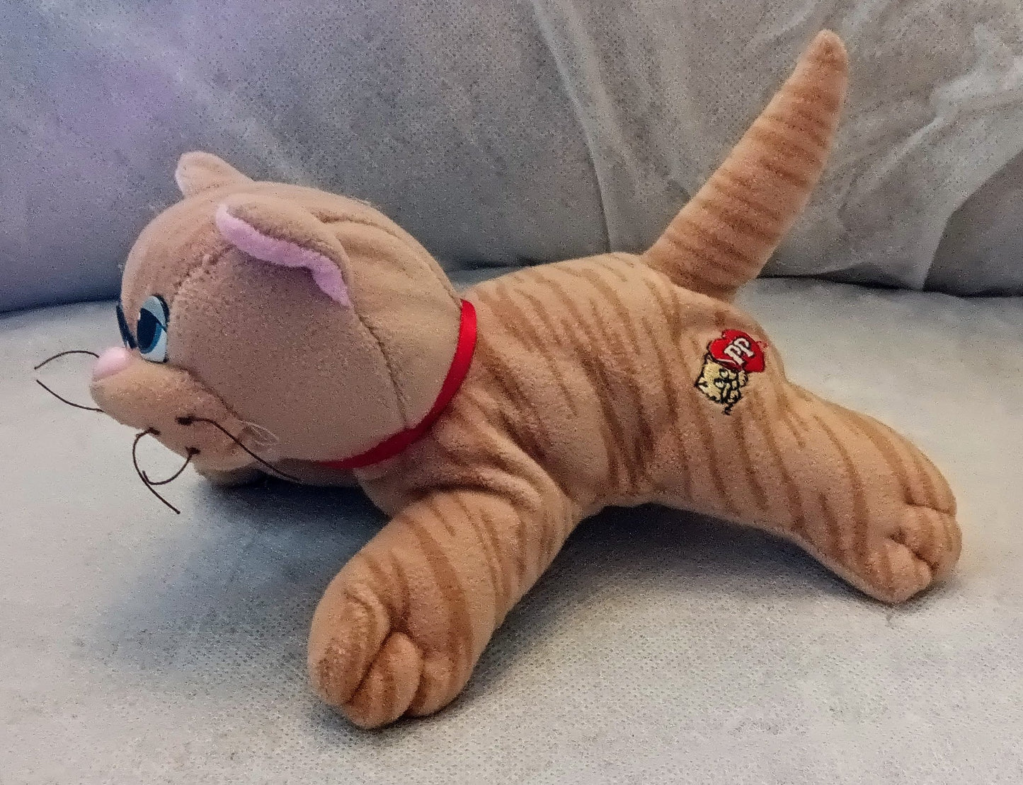 Pound Purries Newborns - Striped Cat